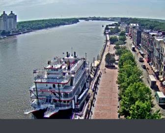 savannah webcam